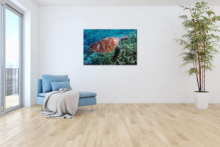 deyoli exotische Schildkröte im Ozean im Format: 80x60 als Leinwandbild, Motiv fertig gerahmt auf Ec
