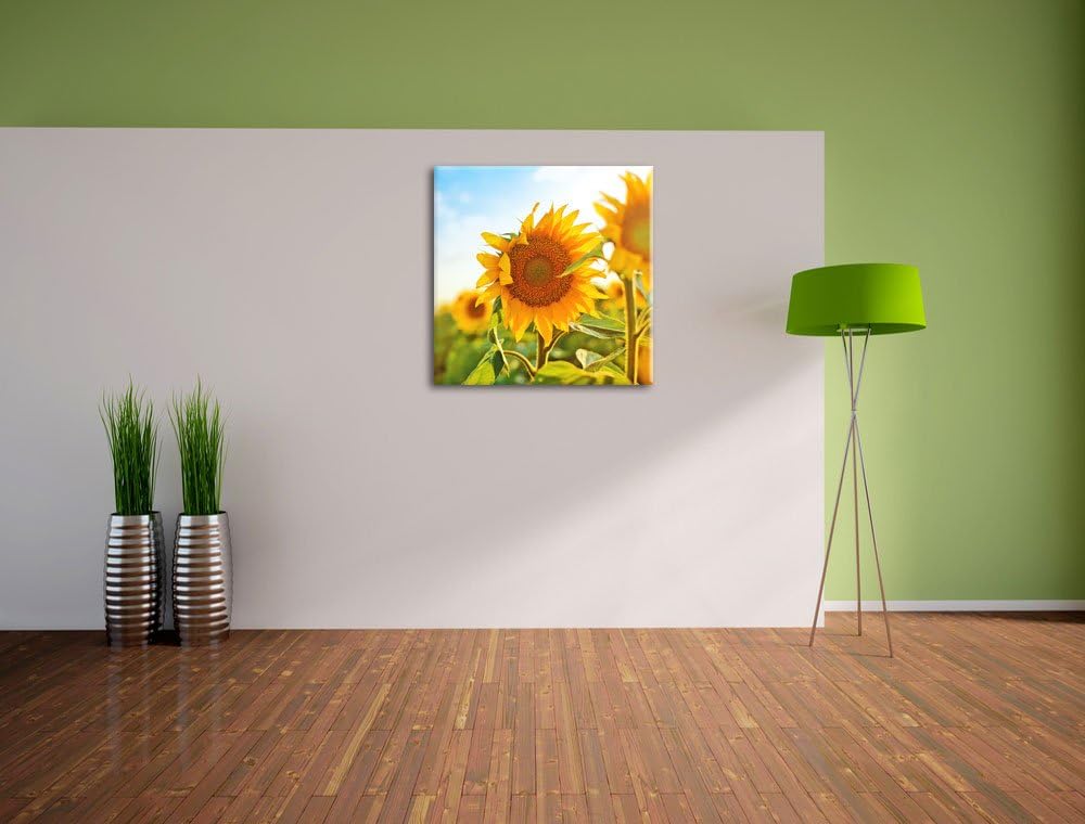 Pixxprint Strahlendes Sonnenblumenfeld, Format: 70x70 auf Leinwand, 70x70