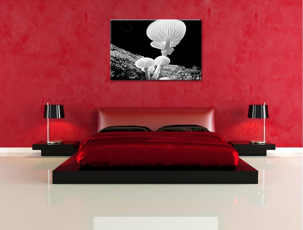 Pixxprint Dark weisse Pilzeauf Leinwand, XXL riesige Bilder fertig gerahmt mit Keilrahmen, Kunstdruc