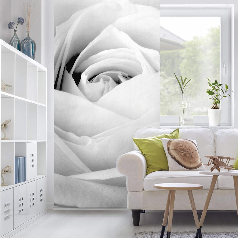 Bilderwelten Raumteiler Close Up Rose 250x120cm ohne Halterung 250x120cm without hanger, 250x120cm w