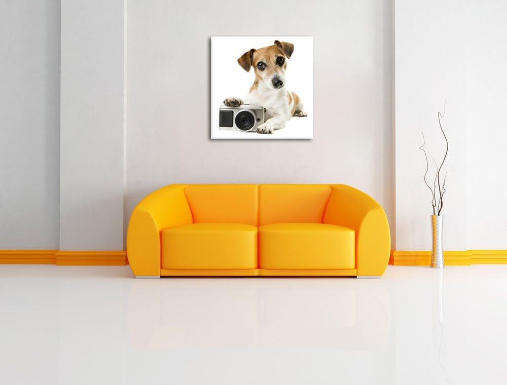 Pixxprint Niedlicher Hundewelpe mit Kamera als Leinwandbild/Grösse: 70x70 cm/Wandbild/Kunstdruck/fer