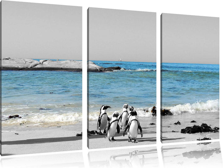 lustige Pinguine am Strand schwarz/weiss 3-Teiler Leinwandbild 120x80 Bild auf Leinwand, XXL riesige