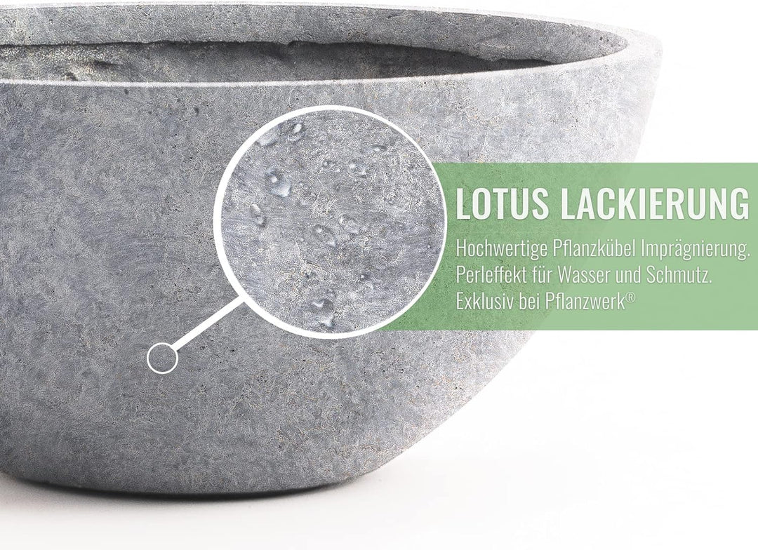 Pflanzwerk® Pflanzkübel Pflanzschale Bowl Ø 36cm Lava Hellgrau *Frostbeständige Blumenschale* *Deuts