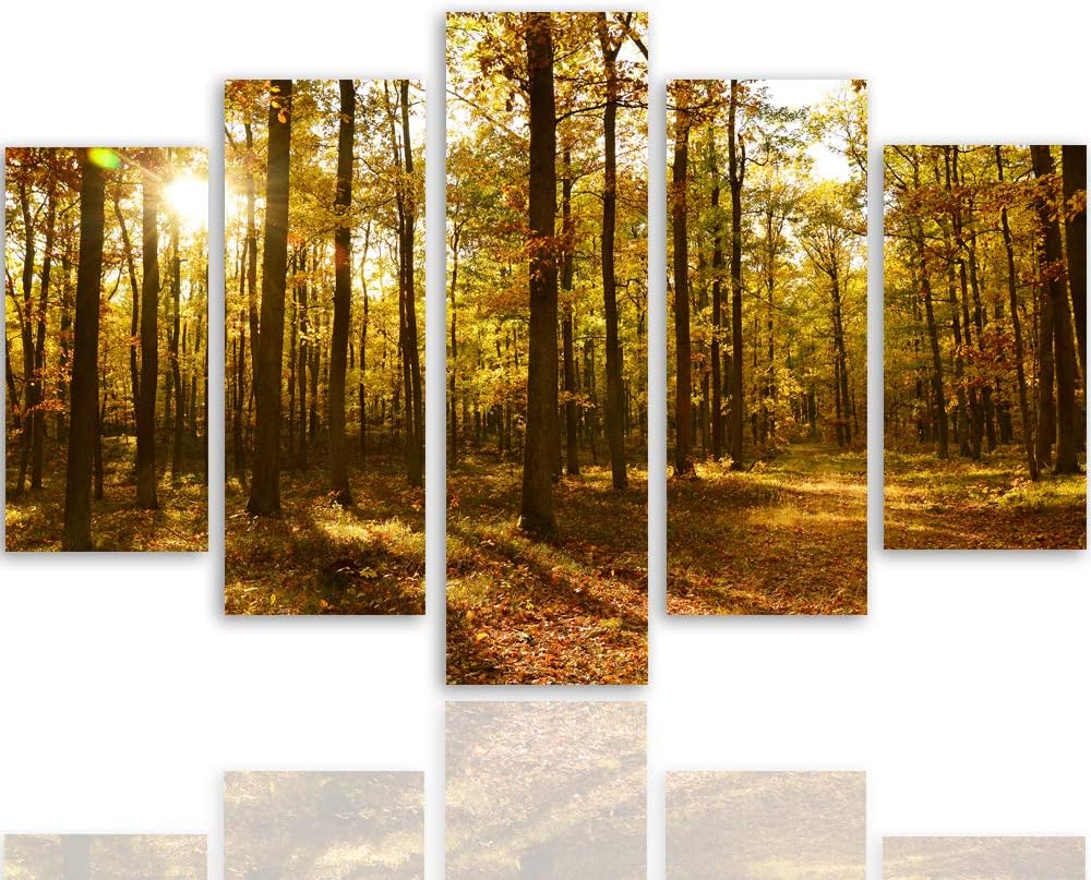 Feeby Leinwandbild 5 Teilig Landschaft Bild Wanddeko Blätter Wald Bäume orange 200x100 cm Leinwandbi