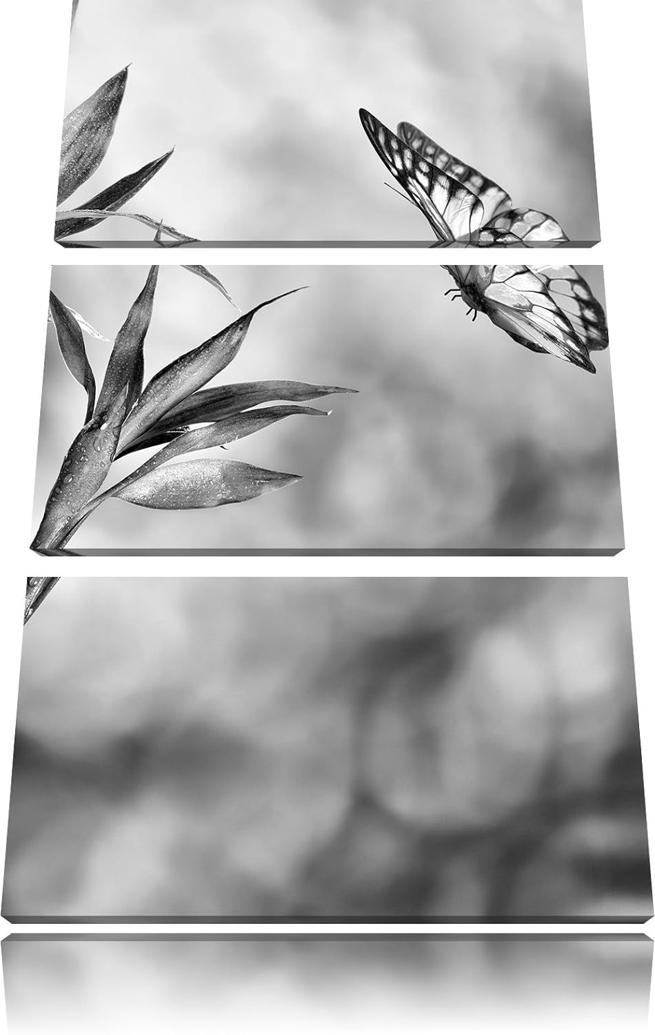 Pixxprint Bambus mit Schmetterling als Leinwandbild/Grösse: 3 Teilig (120x80) cm/Wandbild/Kunstdruck