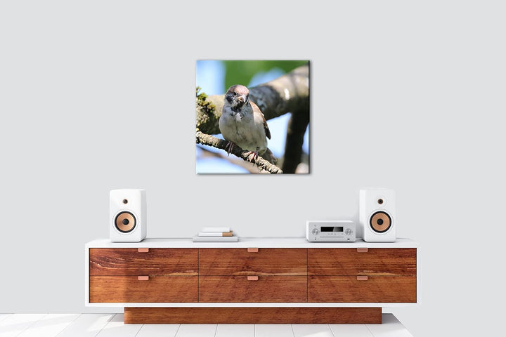 deyoli neugieriger Vogel Format: 70x70 als Leinwandbild, Motiv fertig gerahmt auf Echtholzrahmen, Ho