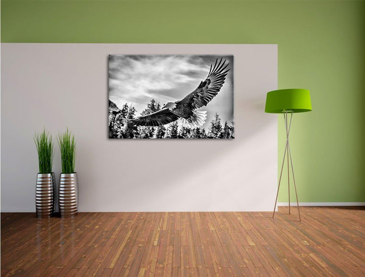 Monocrome, Adler, Format: 100x70 auf Leinwand, XXL riesige Bilder fertig gerahmt mit Keilrahmen, Kun