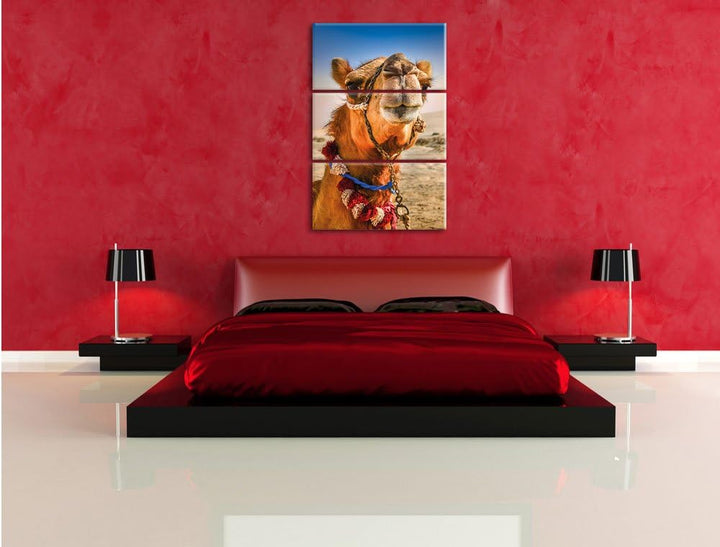Pixxprint Lustiges Kamel in Wüste als Leinwandbild/Grösse: 3 Teilig (120x80) cm/Wandbild/Kunstdruck/