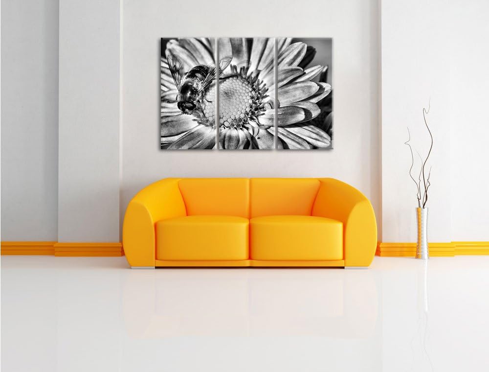 Pixxprint Biene auf Margarete als Leinwandbild/Grösse: 3 Teilig (120x80) cm/Wandbild/Kunstdruck/fert