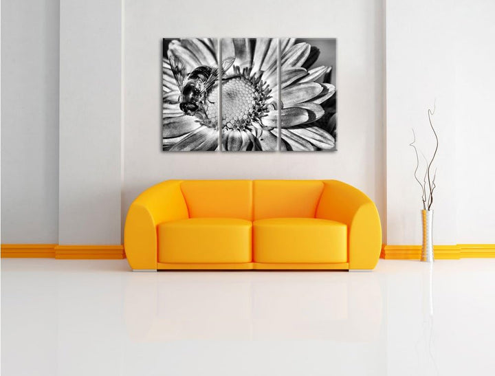 Pixxprint Biene auf Margarete als Leinwandbild/Grösse: 3 Teilig (120x80) cm/Wandbild/Kunstdruck/fert