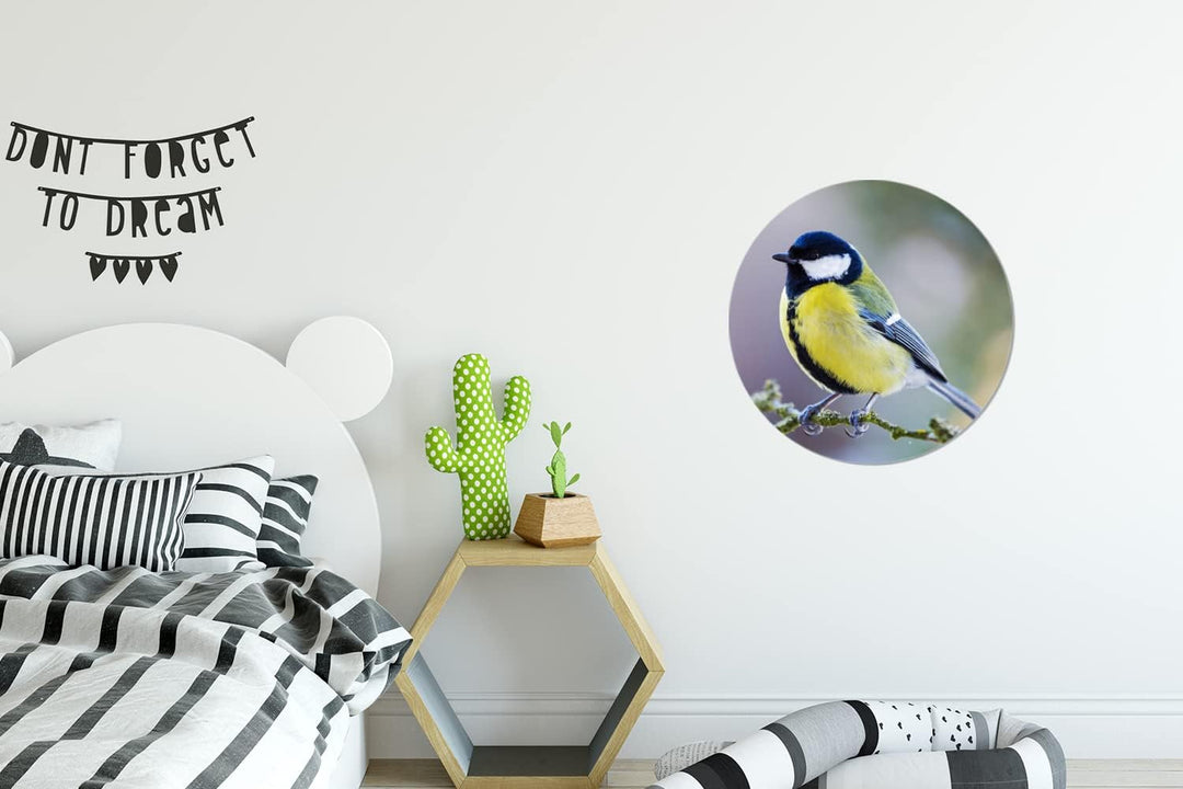 MuchoWow Wandbild Rund Wanddeko Deko Wohnzimmer Bilder 30x30 cm Kohlmeise - Vogel - Zweig