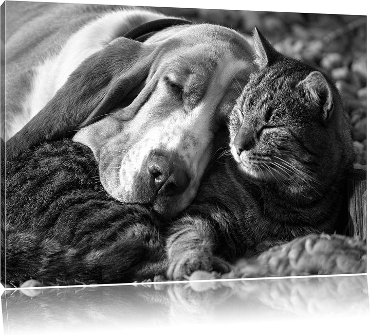 Pixxprint Katze und Hund kuschelnd Kunst B&W als Leinwandbild/Grösse: 100x70 / Wandbild/Kunstdruck/f