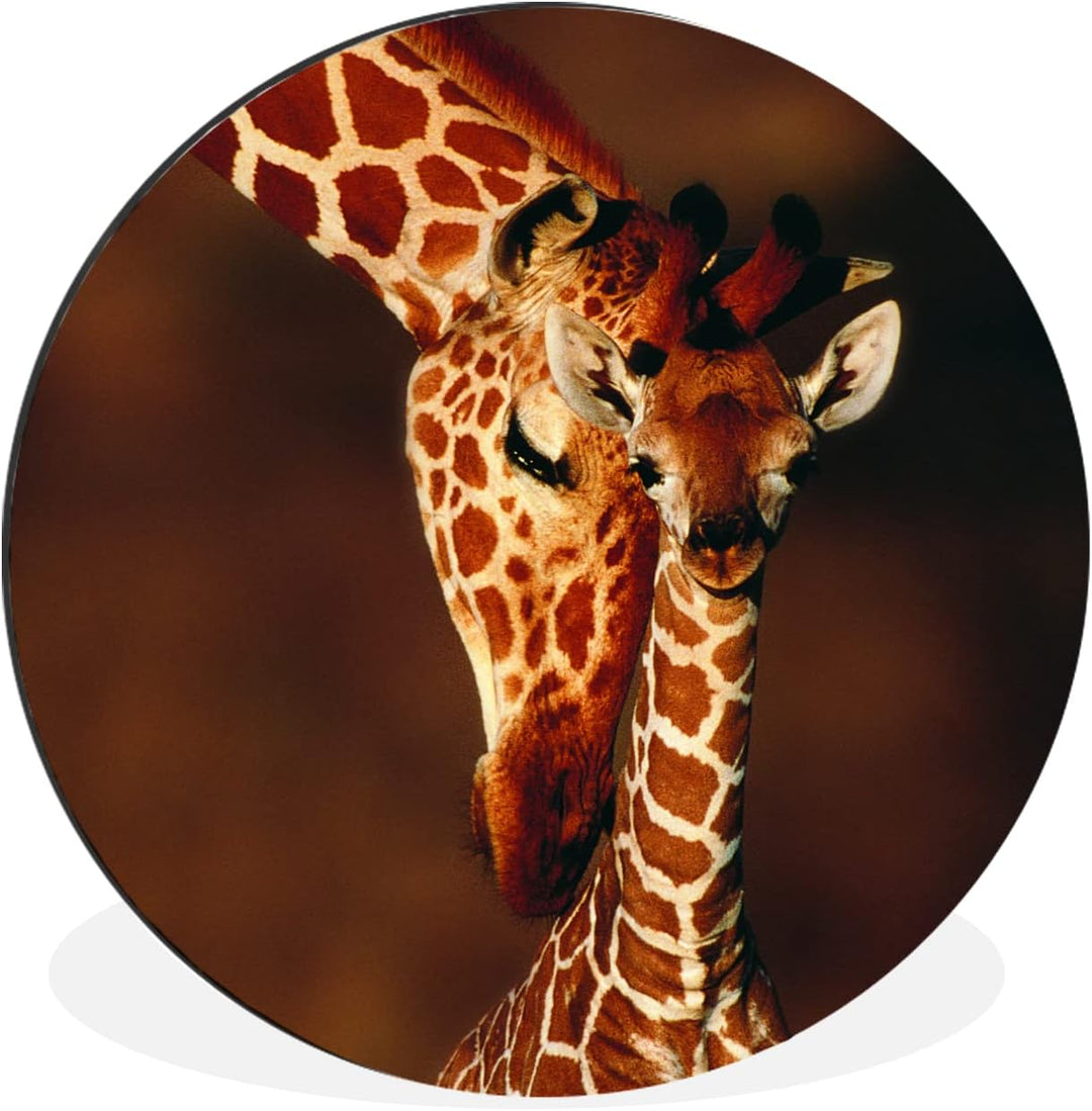 MuchoWow Wandbild Rund Wanddeko Deko Wohnzimmer Bilder 90x90 cm Giraffe - Kalb - Porträt, 90x90 cm