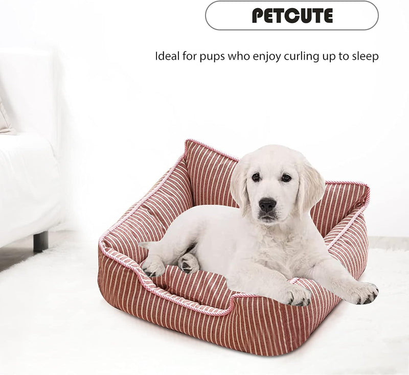 PETCUTE Haustierbett,Waschmaschinenfest Orthopädisches Hundebett Kleine Hunde,rutschfest,Hundebetten