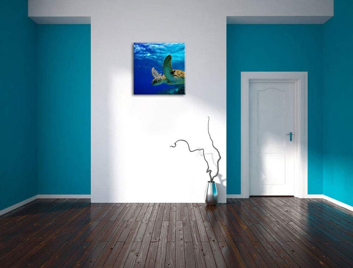 Schildkröte im Riff, Format: 70x70 auf Leinwand, XXL riesige Bilder fertig gerahmt mit Keilrahmen, K