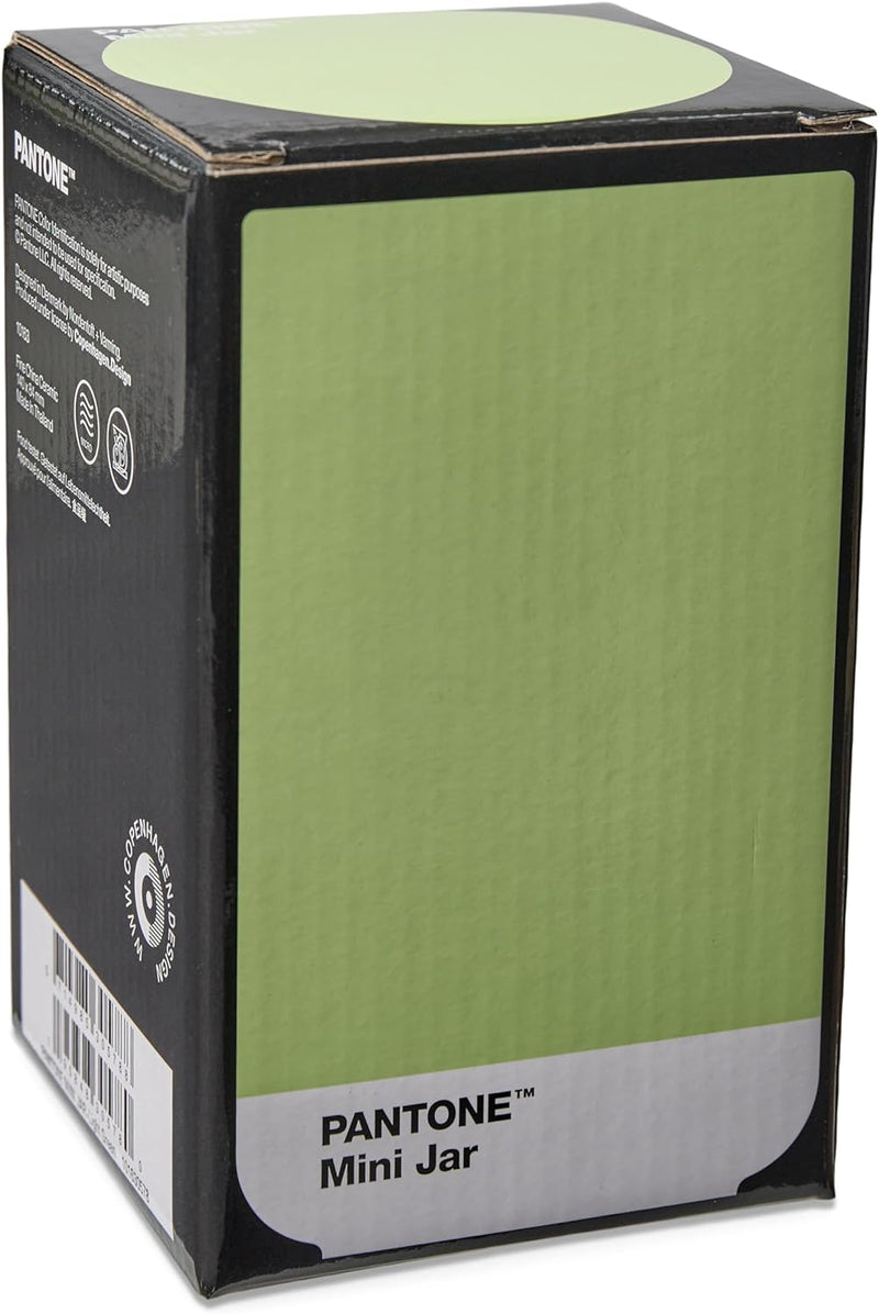 PANTONE Mini Porzellan Vase, in Geschenkbox, 500ml, Light Green 578C Klein Light Green 578c, Klein L