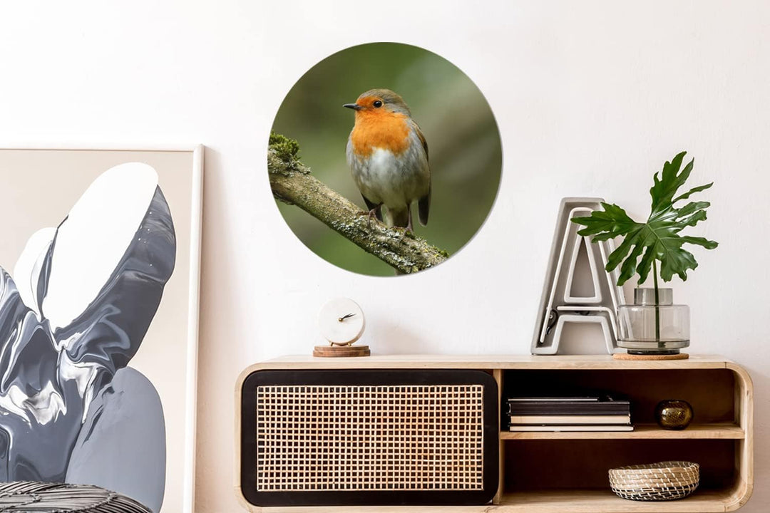 MuchoWow Wandbild Rund Wanddeko Deko Wohnzimmer Bilder 60x60 cm Vogel - Rotkehlchen - Zweig - Pflanz
