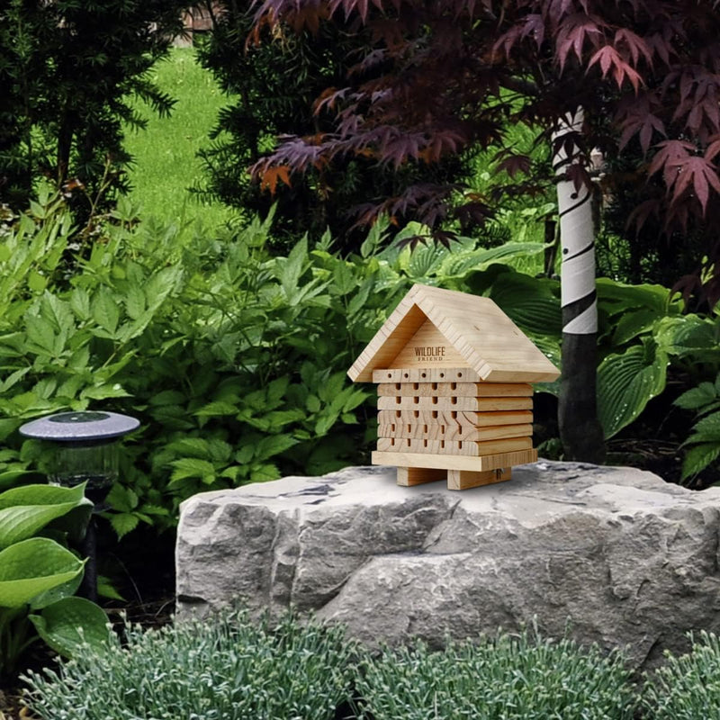 WILDLIFE FRIEND I Bienenhotel aus Naturholz - Insektenhotel, Nisthilfe Unterschlupf für Wildbienen I