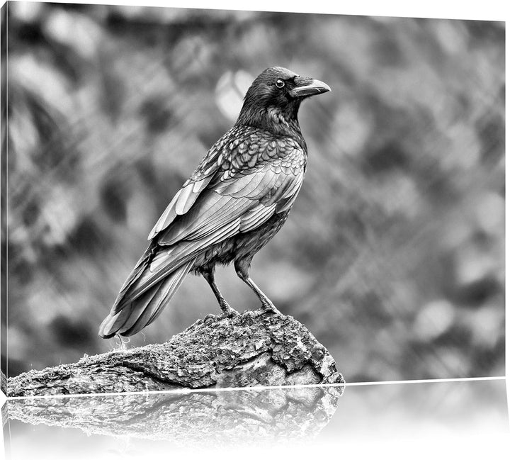 Pixxprint Monocrome, Krähe auf Baumstamm, Format: 100x70 auf Leinwand, 100x70