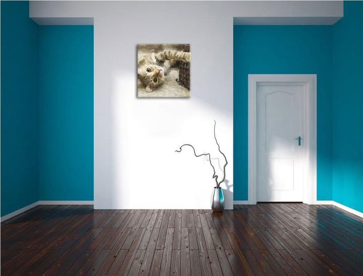 Pixxprint Katze streckt Sich als Leinwandbild Quadratisch/Grösse: 70x70 / Wandbild/Kunstdruck/fertig