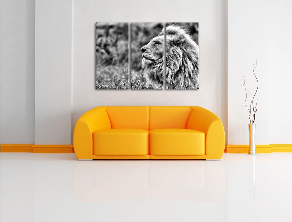 Pixxprint Monocrome, Weisser Löwe im Gebirge 3-Teiler Leinwandbild 120x80 Bild auf Leinwand
