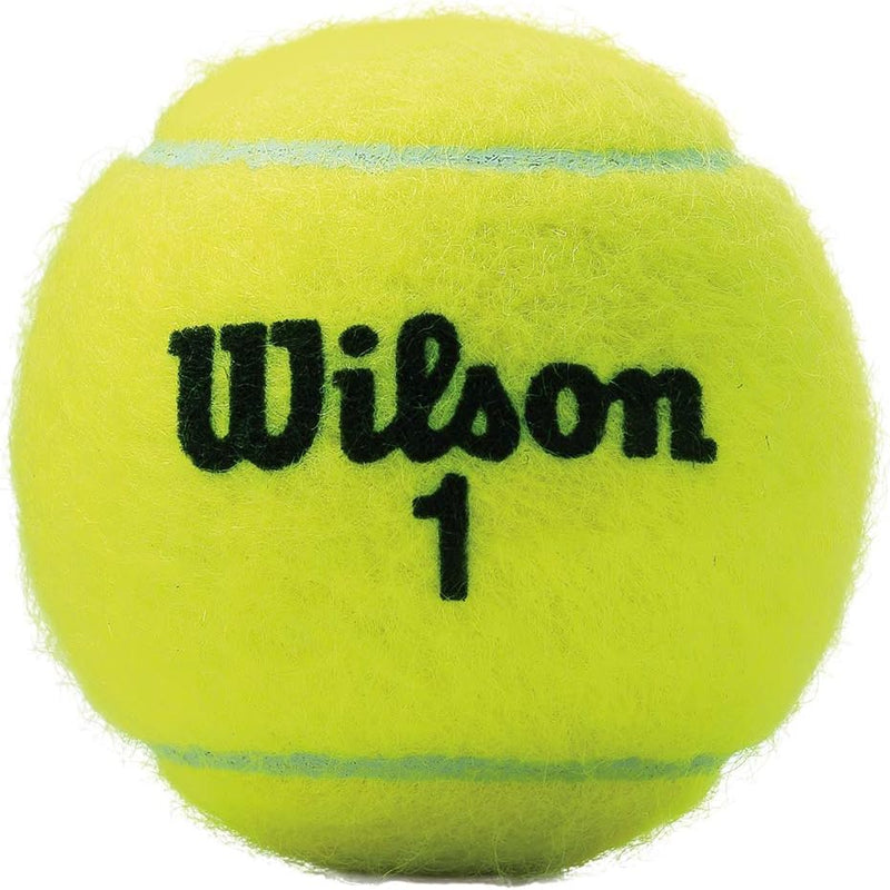 WILSON Championship Extra Duty Tennisbälle 24 Dosen, 24 Dosen