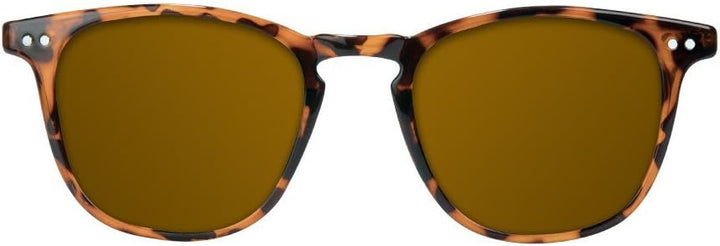 Northweek Sonnenbrillen Wall Tortoise