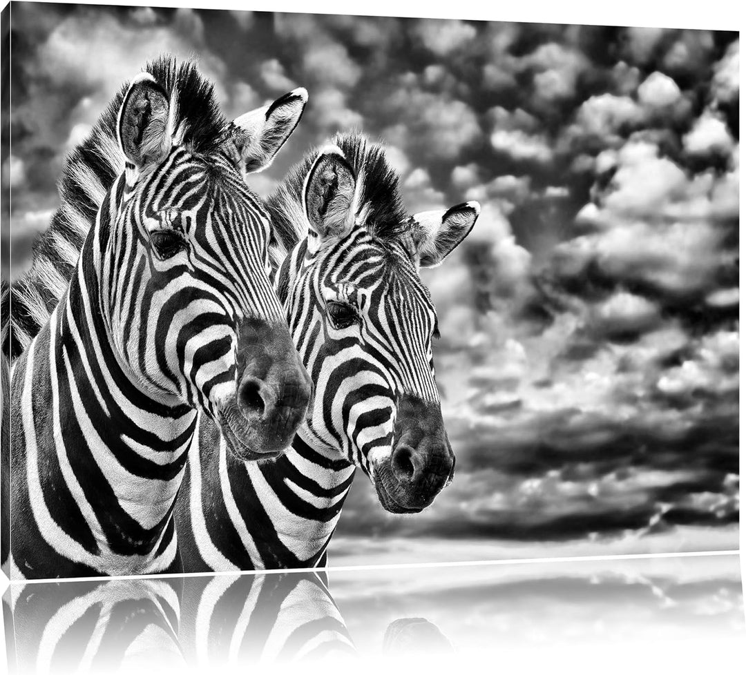 Monocrome, Zebra Pärchen , Format: 100x70 auf Leinwand, XXL riesige Bilder fertig gerahmt mit Keilra