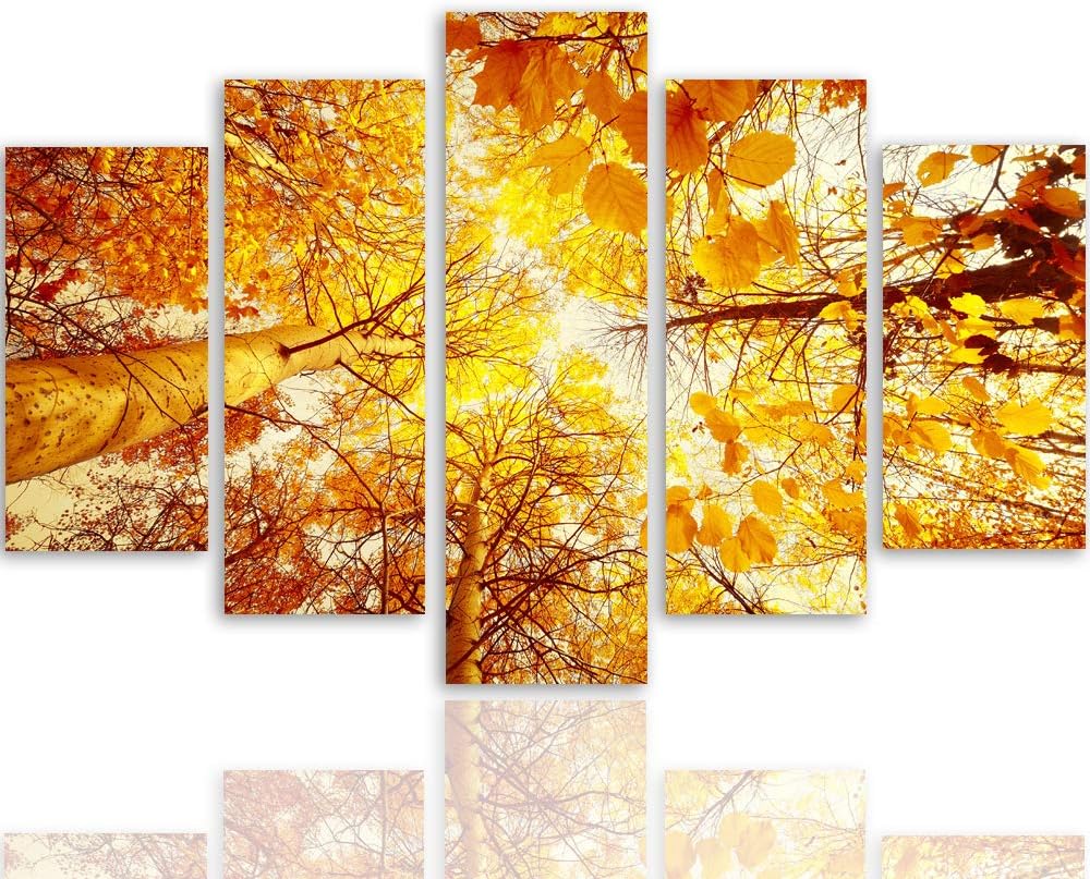 Leinwandbild 5 Teilig Landschaft Bild Wanddeko Herbst Bäume Blätter orange 200x100 cm Leinwandbild 2