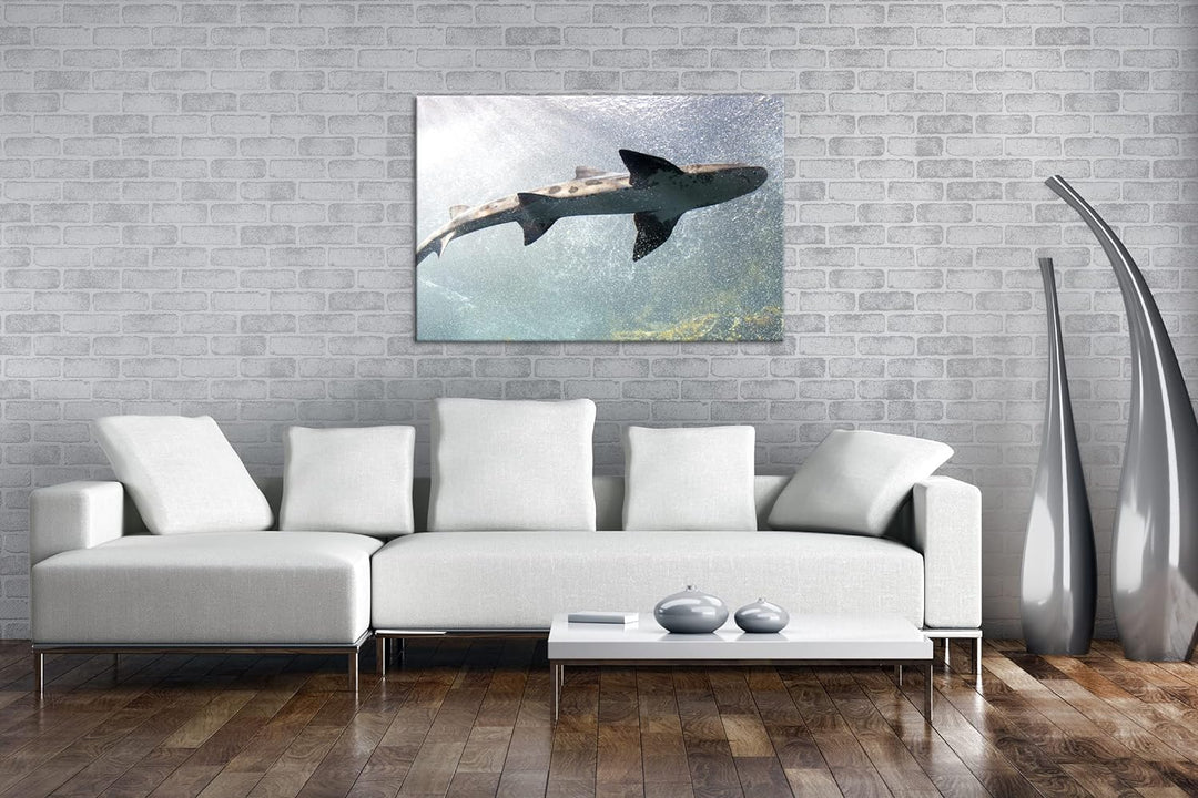 deyoli grosser Hai im Aquarium im Format: 60x40 als Leinwandbild, Motiv fertig gerahmt auf Echtholzr