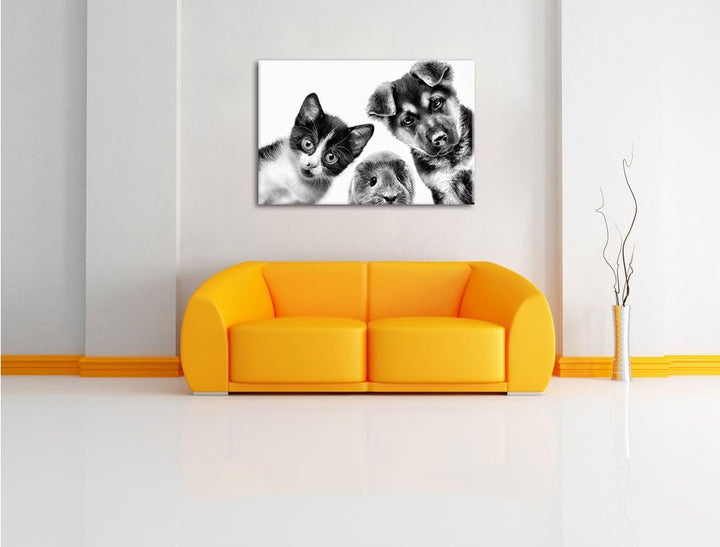 Pixxprint Trio Hund Katze Meerschwein als Leinwandbild/Grösse: 100x70 cm/Wandbild/Kunstdruck/fertig