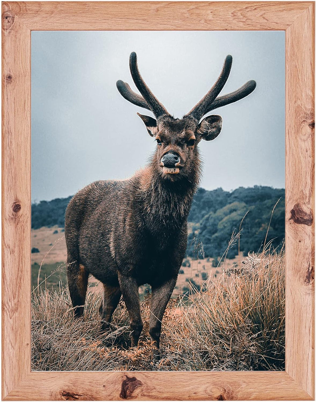 Rahmendesign24 Posterrahmen Fiona 50x70 Eiche natur Fotorahmen, Wechselrahmen, Bilderrahmen