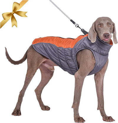 Vivi Bear Wasserdichter Hundemantel Winter Warme Hundejacke, Hundebekleidung Outfit für Mittel Gross