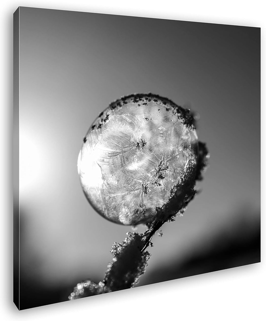 deyoli Zauberhafte Gefrorene Seifenblase Format: 70x70 Effekt: Schwarz&Weiss als Leinwandbild, Motiv