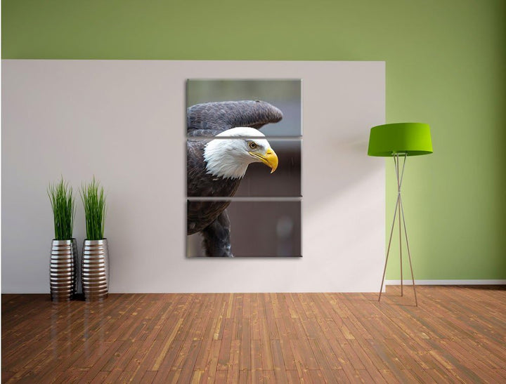 Adler 3-Teiler Leinwandbild 120x80 Bild auf Leinwand, XXL riesige Bilder fertig gerahmt mit Keilrahm