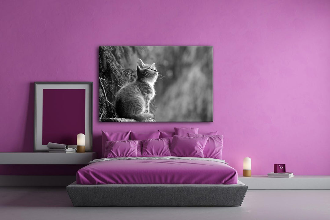 deyoli niedliche Katze Format: 80x60 Effekt: Schwarz/Weiss als Leinwand, Motiv fertig gerahmt auf Ec
