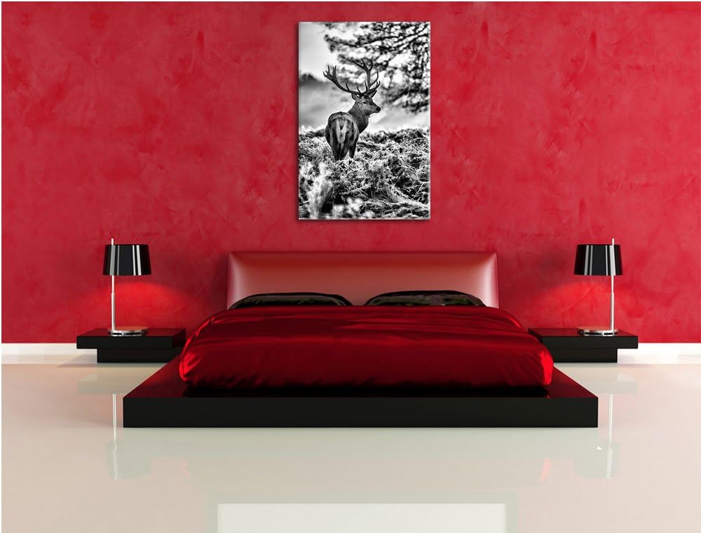 Pixxprint Hirsch im Wald als Leinwandbild/Grösse: 100x70 / Wandbild/Kunstdruck/fertig bespannt, 100x