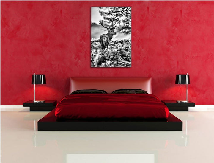 Pixxprint Hirsch im Wald als Leinwandbild/Grösse: 100x70 / Wandbild/Kunstdruck/fertig bespannt, 100x