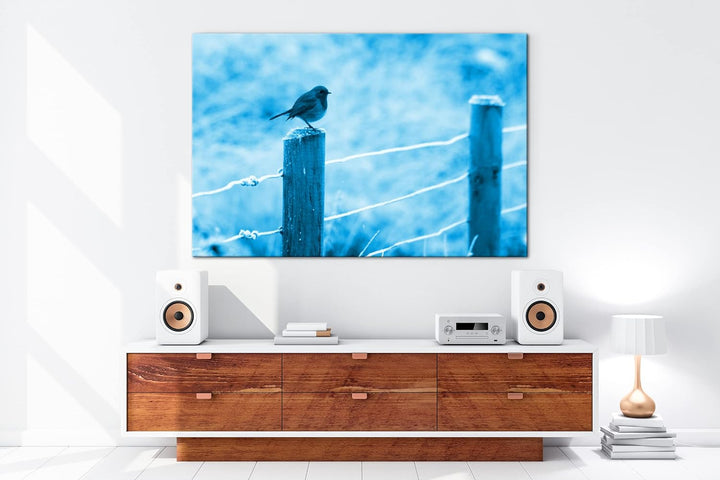 deyoli niedlicher kleiner Vogel auf einem Weidenzaun Format 80x60 Effekt: Monocrome Blau als Leinwan