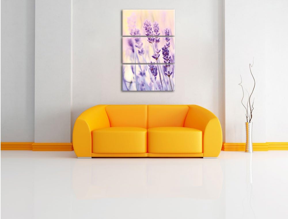Pixxprint Lavendel / 3-Teilig/Gesamtmass 120cm Leinwandbild bespannt auf Holzrahmen/Wandbild Kunstdr
