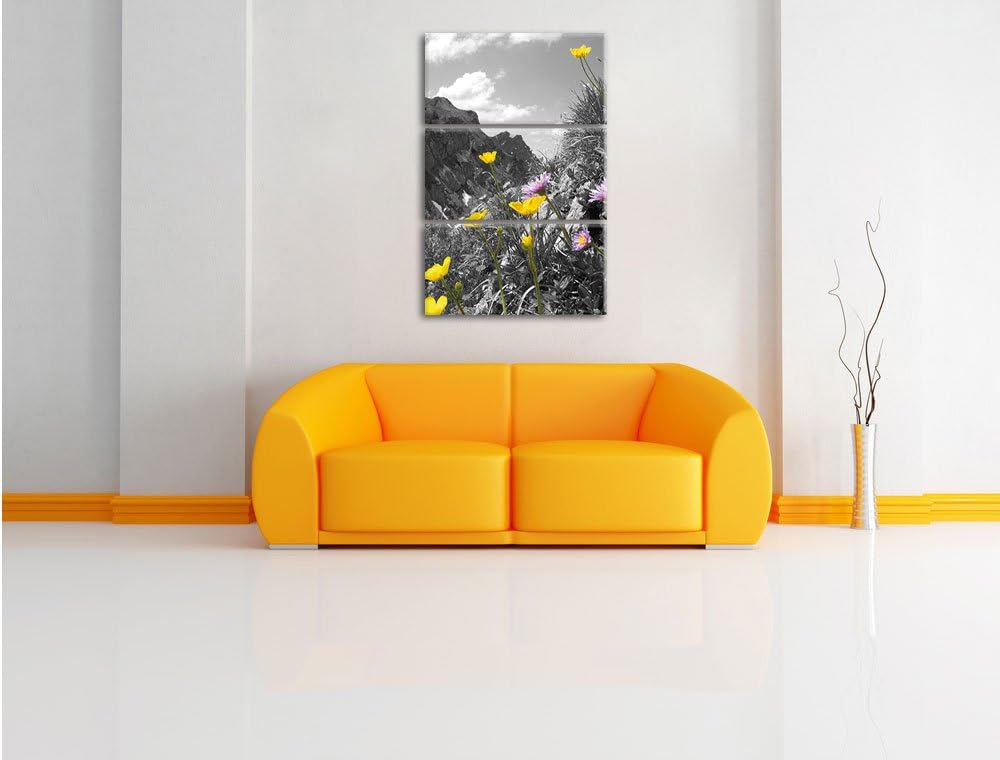 Pixxprint Traumhafte Blumenwiese im Frühling schwarz/weiss 3-Teiler Leinwandbild 120x80 Bild auf Lei