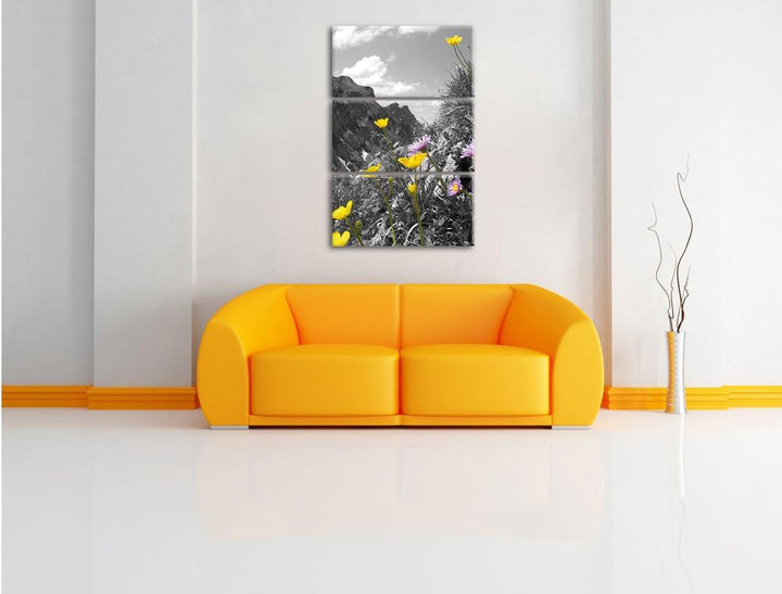 Pixxprint Traumhafte Blumenwiese im Frühling schwarz/weiss 3-Teiler Leinwandbild 120x80 Bild auf Lei