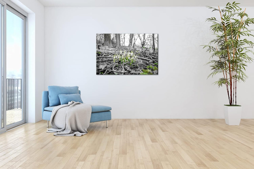 deyoli Der Frühling kommt - wachsende Schneeglöckchen Format: 80x60 als Leinwand, Motiv fertig gerah