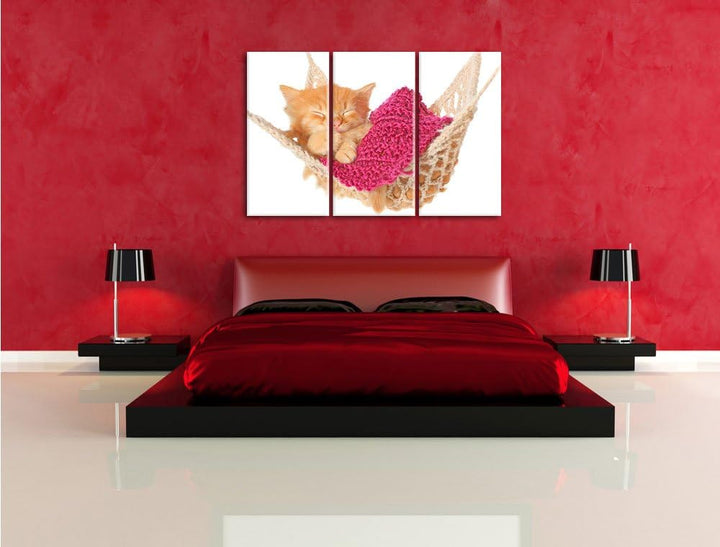 Pixxprint Schlafendes Katzenbaby in Hängematte 3-Teiler Leinwandbild 120x80 Bild auf Leinwand