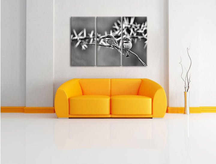 Pixxprint exotische Vögel auf AST als Leinwandbild/Grösse: 3 Teilig (120x80) cm/Wandbild/Kunstdruck/