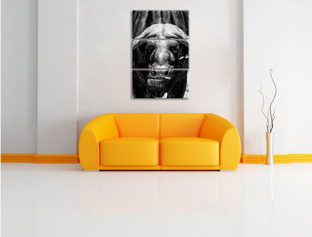Pixxprint Wasserbüffel Schwarz/weiss 3-Teiler Leinwandbild 120x80 Bild auf Leinwand