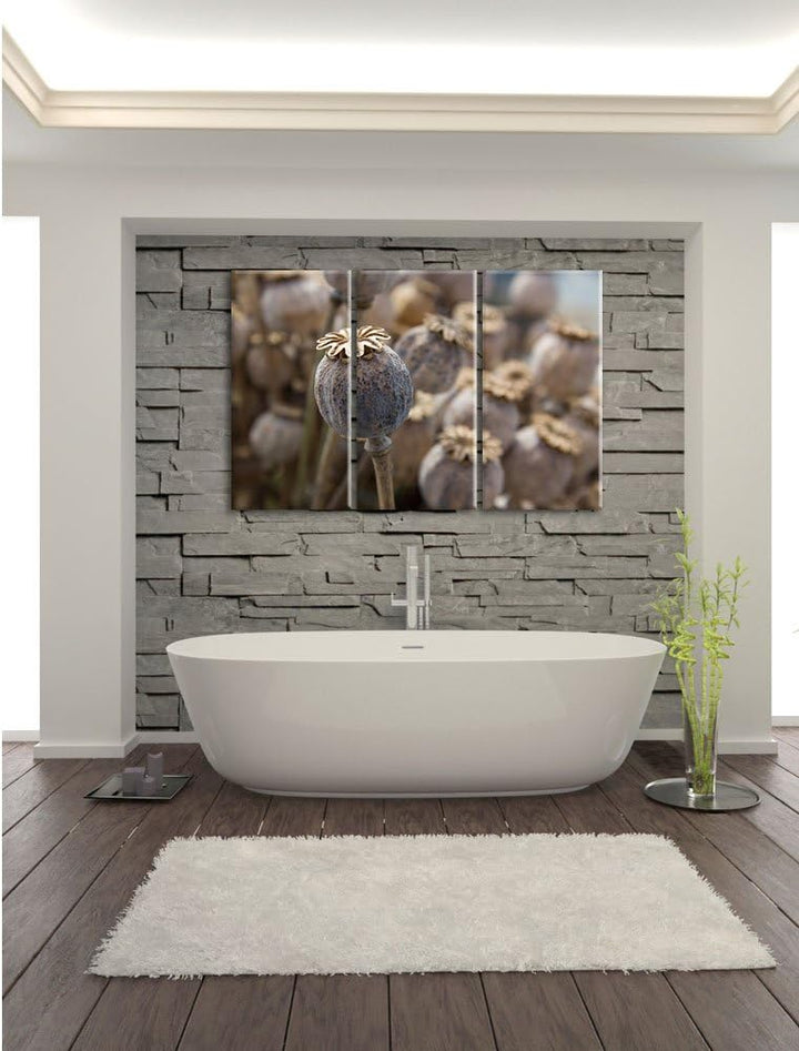 Pixxprint Mohnkapsel der Mohnblume / 3-Teilig/Gesamtmass 120cm Leinwandbild bespannt auf Holzrahmen/