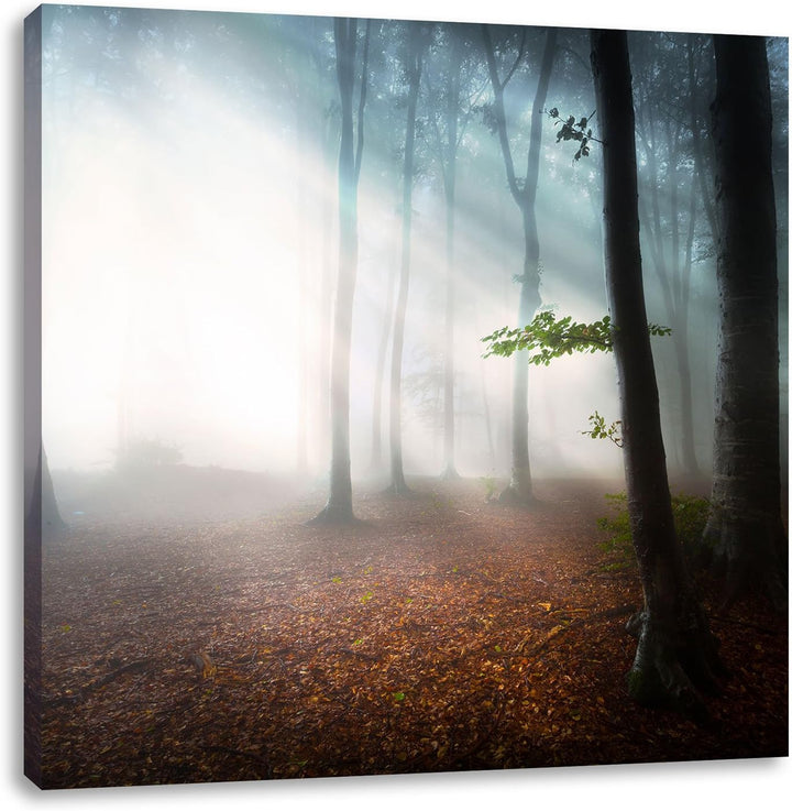 Düsterer Wald im Nebel, Format: 70x70 auf Leinwand, XXL riesige Bilder fertig gerahmt mit Keilrahmen
