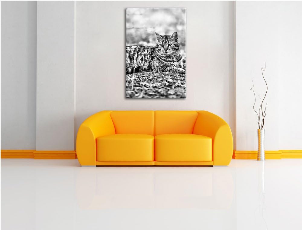 Pixxprint Ruhende Katze im Wald / 100x70cm Leinwandbild bespannt auf Holzrahmen/Wandbild Kunstdruck