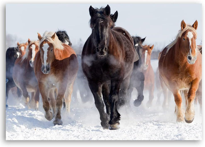 Feeby Vlies Leinwandbild Frei Hengst Laufen Pferde 90x60 cm Druckbild Wandbild Wanddekoration Deko W